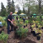 Mike Starchuk - National Tree Planting Day - MikeStarchuk.com