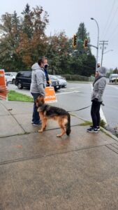 Mike passing the sniff test, with a Voter's doggy - Sign Rally - Oct 18 - MikeStarchuk.com