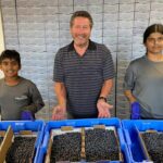Surrey Blueberries - Farm to Table - Eat Local - MikeStarchuk.com