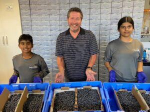 Surrey Blueberries - Farm to Table - Eat Local - MikeStarchuk.com